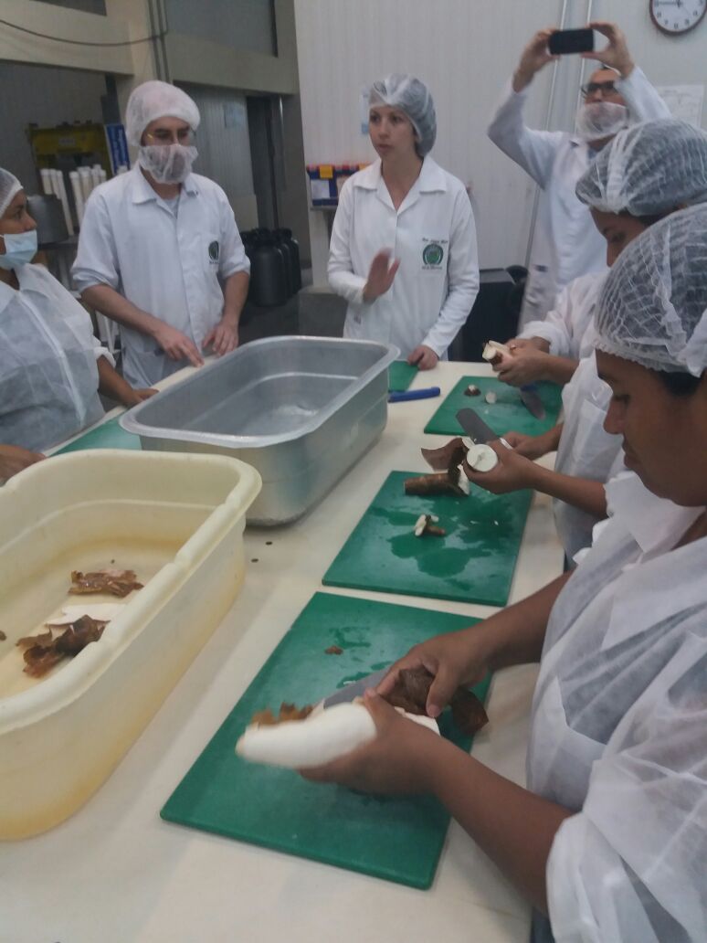 Pruebas de harina de yuca.